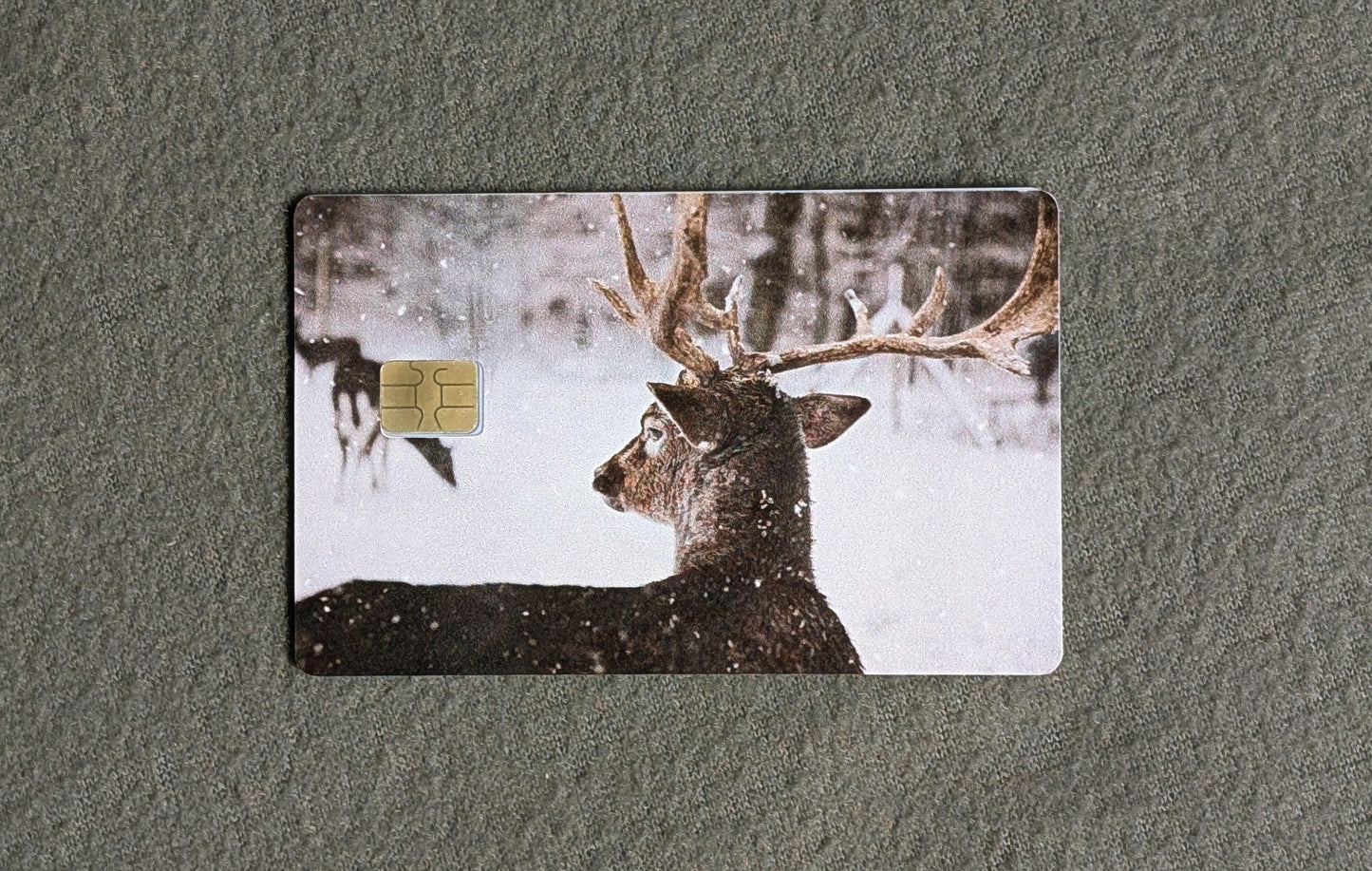 Buck Bundle Credit/Debit Card Sticker, Skin, Cover